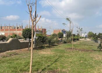 انطلاق المرحلة الرابعة من المبادرة الرئاسية 100 مليون شجرة