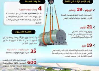 محطة الضبعة النووية