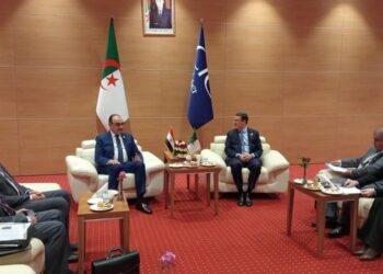 وزير قطاع الأعمال العام يلتقي وزيري الصناعة الصيدلانية والصحة الجزائريين