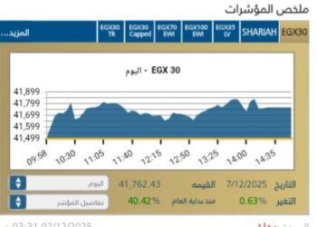 المؤشر الرئيسى EGX30 يرتفع بنسبة 0,63%