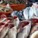 أسواق الأسماك تسجل استقرارًا