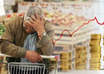 ارتفاع الأسعار وتأثيره على مستوى معيشة الأسرة العربية