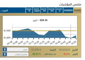 المؤشر الرئيسى EGX30