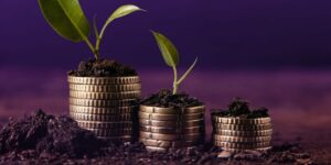 الوعي المالي كأداة أساسية لبناء اقتصاد أكثر استقرارًا