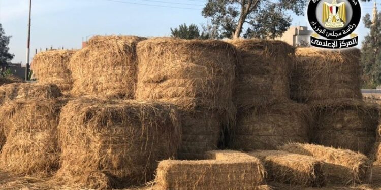 تجميع قش الأرز هذا الموسم تخطى المستهدف