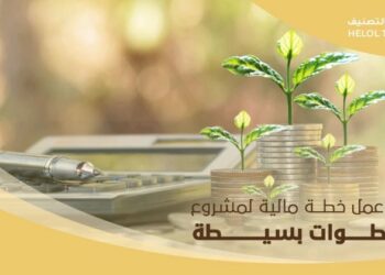 كيف تصنع خطتك المالية الأولى دون تعقيد؟