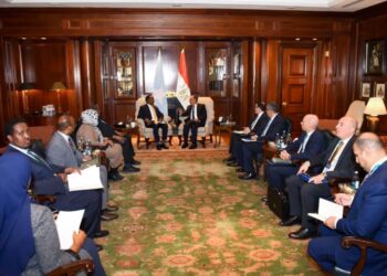 مباحثات مصرية-صومالية