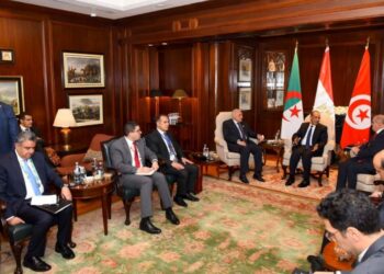 تعزيز التعاون الاقتصادي والتجاري والاستثماري بين روسيا وأفريقيا