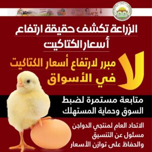 زيادة أسعار الكتاكيت ليس لها مبرر واضح