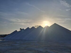 تصدير أكبر شحنة ملح من ميناء العريش