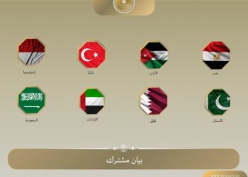 8 دول اسلامية تعرب عن بالغ قلقهم إزاء تدهور الوضع الإنساني في قطاع غزة