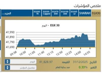 البورصه المصريه تتألق.. والأسهم القياديه تقود الصعود