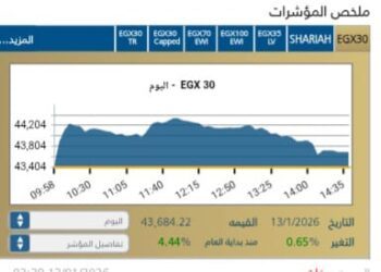 البورصه المصريه تتألق: الأسهم القياديه تقود الصعود