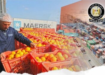فتح السوق «الدومينيكاني» أمام صادرات مصر الزراعية من البرتقال والجريب فروت والماندرين والرمان الطازج