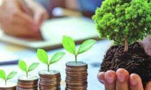 المشروعات الصغيرة والمتوسطة