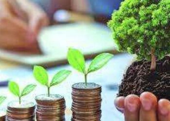 المشروعات الصغيرة والمتوسطة