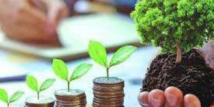 المشروعات الصغيرة والمتوسطة
