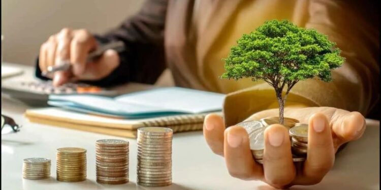 المشروعات الصغيرة والمتوسطة