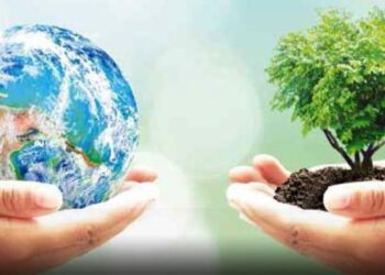 تنمية الموارد المحلية في تعزيز الاقتصاد الوطني