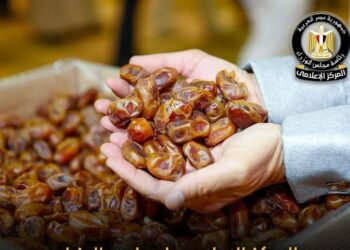 حقيقة استيراد مصر للتمور الإسرائيلية