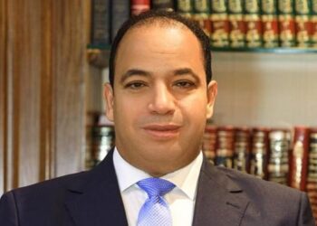 د. عبد المنعم السيد مدير مركز القاهرة للدراسات الاقتصادية و الاستراتيجية