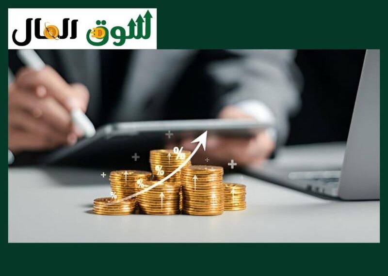 كيف تتأثر الاستثمارات المحلية بالتغيرات الاقتصادية العالمية؟