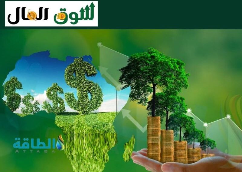 هل يمكن للاقتصاد المصري مواجهة تحديات التضخم في 2026؟