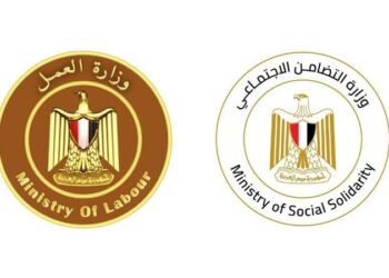 وزارتي التضامن الاجتماعي والعمل
