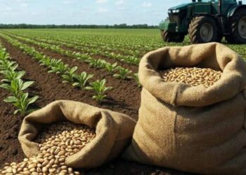  2700 موافقة تصديرية واستيرادية تقاوي للزراعة