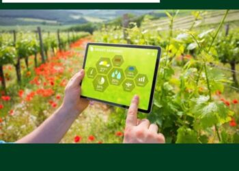 الابتكار في الصناعة والزراعة