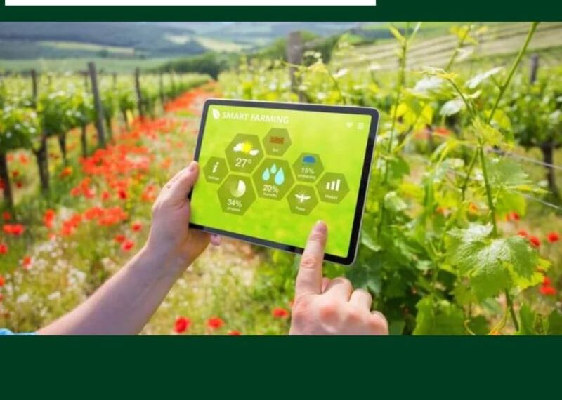 الابتكار في الصناعة والزراعة