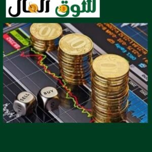 التجارة الإلكترونية سلوك المستهلك