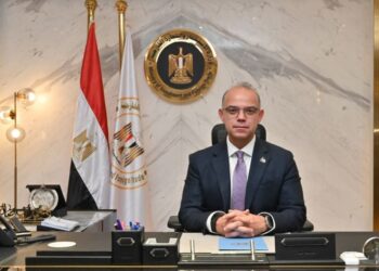 الدكتور محمد فريد صالح، وزير الاستثمار