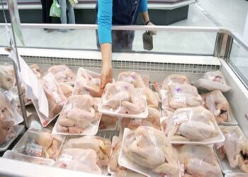 الدواجن المجمدة