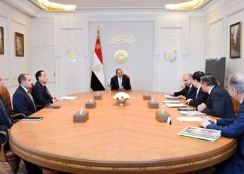 الرئيس السيسي خلال استقباله «تشو جونج شن»