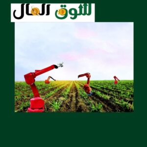 القطاع الزراعي يساهم في استقرار الأسعار