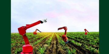 القطاع الزراعي يساهم في استقرار الأسعار
