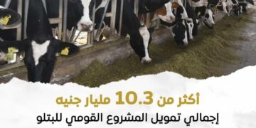 المشروع القومي للبتلو