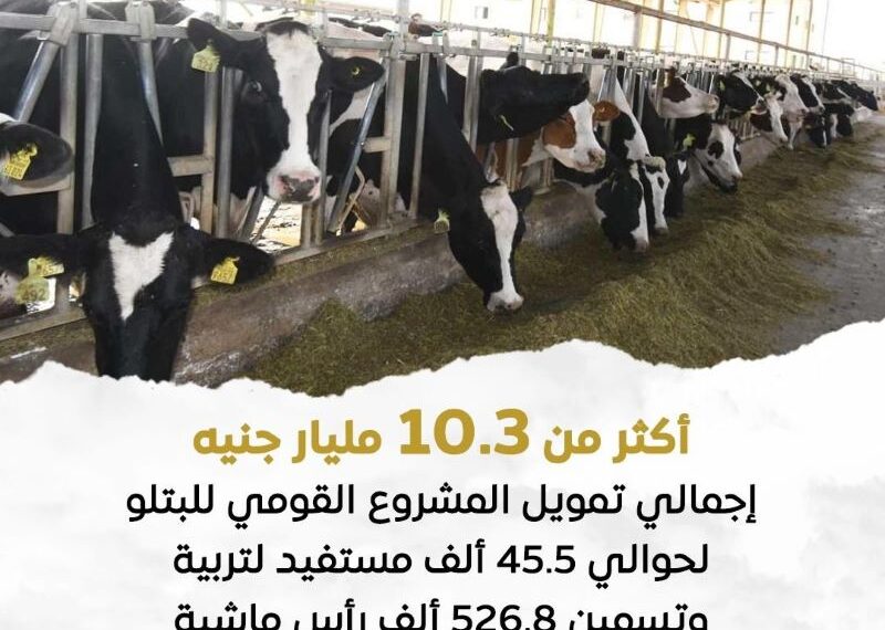 المشروع القومي للبتلو