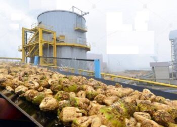 صناعة السكر في مصر