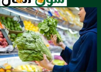 كيف تختار السلع الغذائية الذكية وتحمي ميزانيتك الشهرية