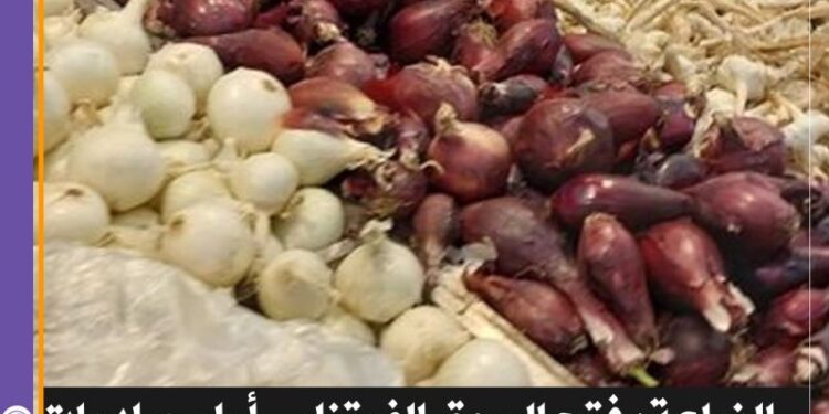 محصولي البصل والثوم الطازج