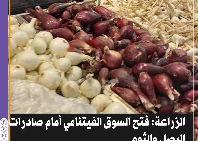 محصولي البصل والثوم الطازج