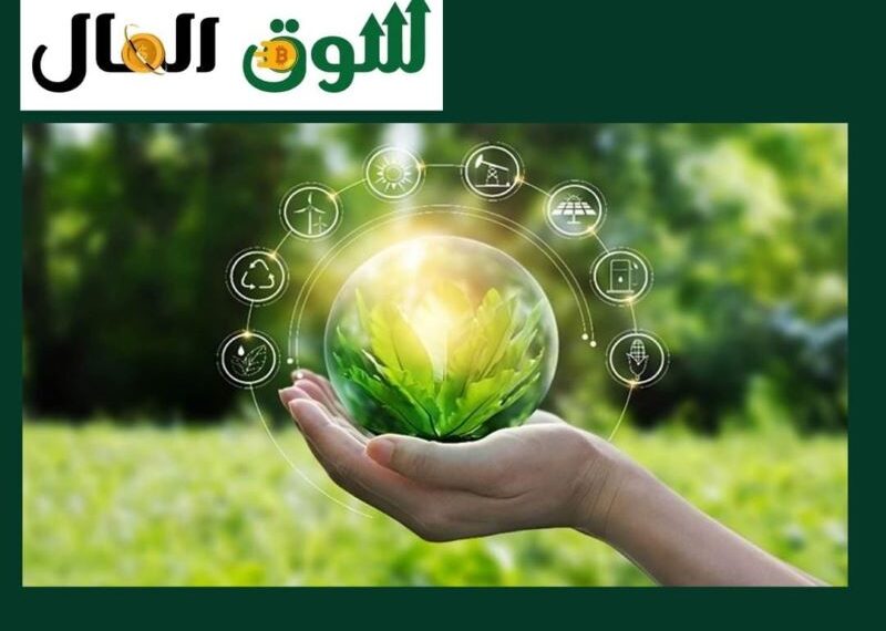 هل سيستمر الاستقرار المالي في مواجهة ضغوط التضخم؟