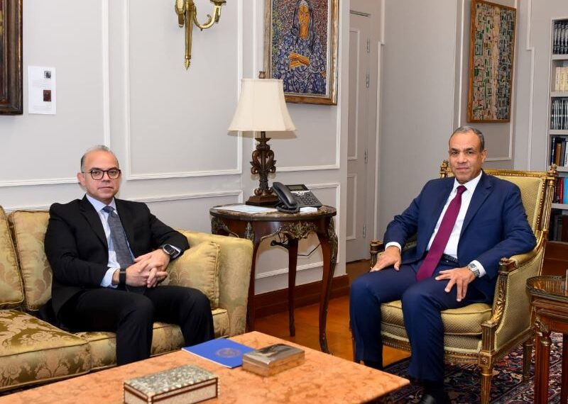 وزيرا الخارجية والاستثمار يبحثان تعزيز التنسيق المشترك