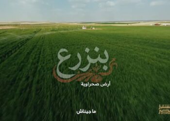 جهاز «مستقبل مصر» حوّل المحاصيل الخام إلى ثروة صناعية للمشروعات الصغيرة