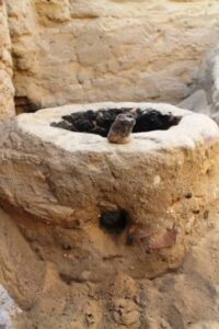 الكشف عن بقايا دير أثري بوادي النطرون يؤرخ لبدايات الرهبنة في مصر والعالم