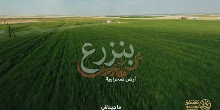 «جهاز مستقبل مصر» يطلق حملة تعريفية بمشروعاته التنموية خلال رمضان