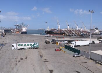 «ميناء دمياط» يدشن خدمة ترانزيت جديدة للشحنات عبر خط «الرورو» إلى دول الخليج