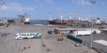 «ميناء دمياط» يدشن خدمة ترانزيت جديدة للشحنات عبر خط «الرورو» إلى دول الخليج